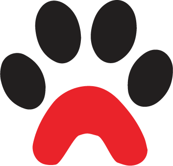 Ancestral Raw Pet Food, By Ernie's Bites