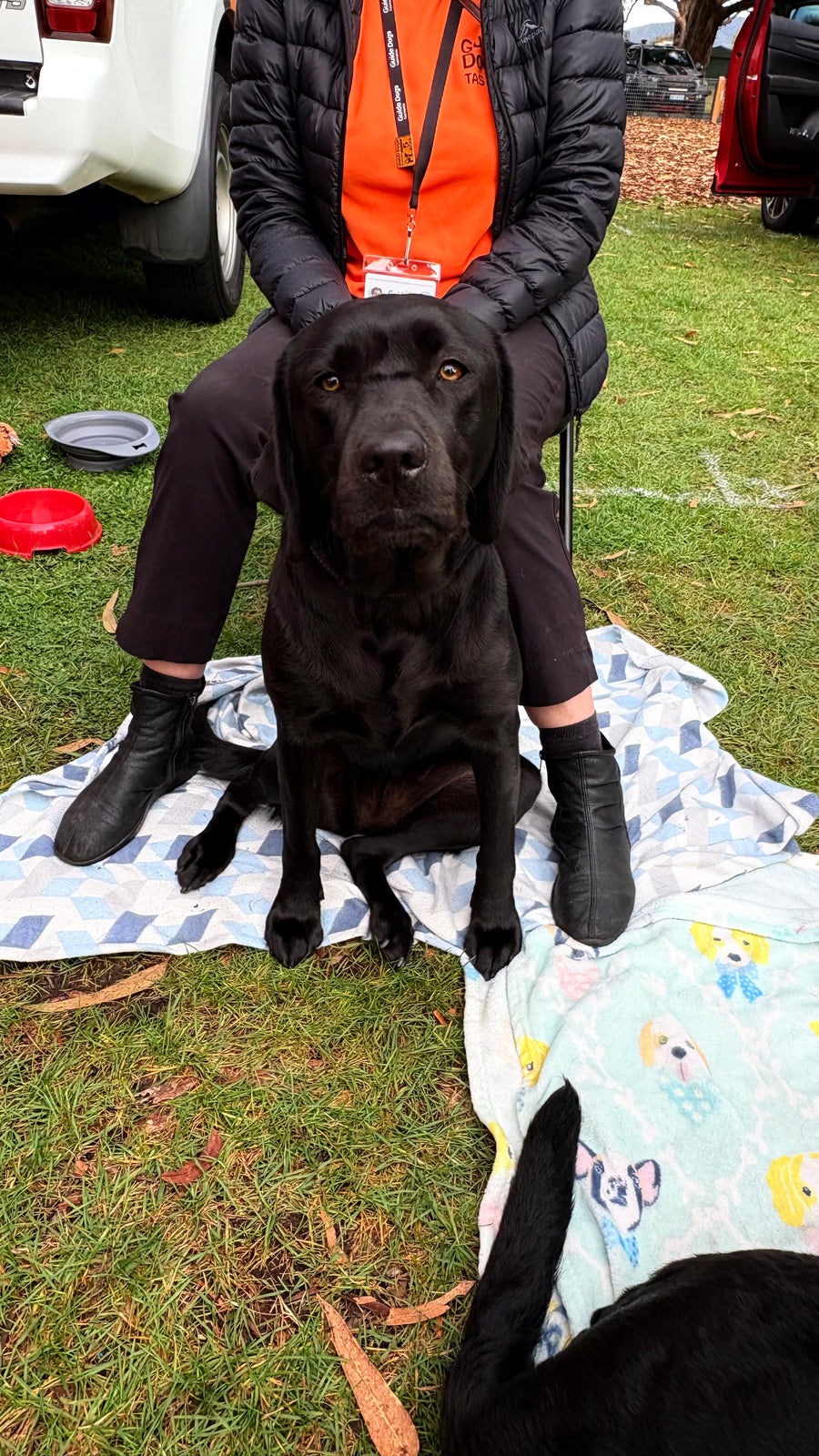 Guide Dogs Tasmania